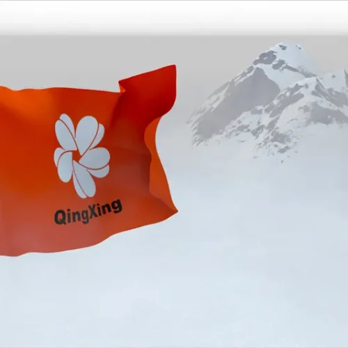 QingXing_Logo_05-2.webp